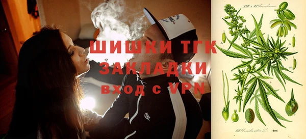 твердый Абаза