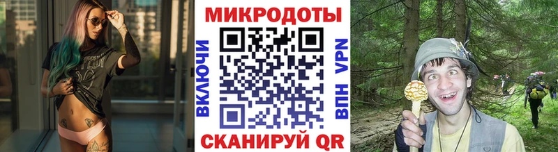 нарко площадка наркотические препараты  Холм  Галлюциногенные грибы MAGIC MUSHROOMS 