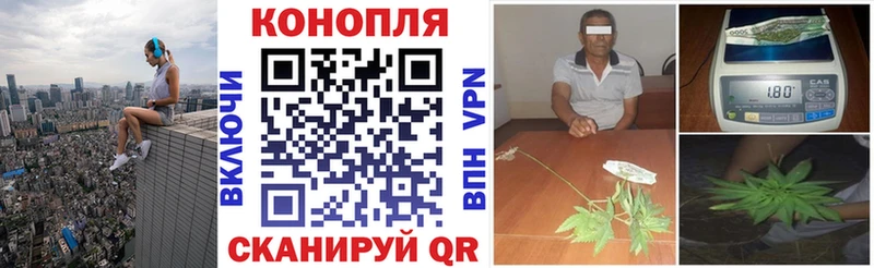 Каннабис тримм  Холм 